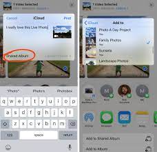 Scroll up and select the video you wish to use. How To Quickly Convert Live Photo To Video On Your Iphone