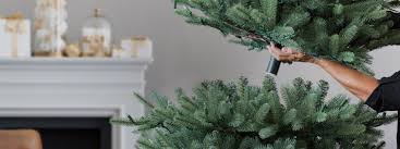 European city decorated for the christmas holiday. When To Take Down Your Christmas Tree Balsam Hill