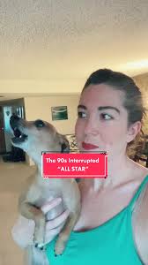 Hey now…. #singingdog #casperandpam #ITriedItIPrimedIt #fyp #allstar  #smashmouth #petlife #pets