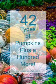 98 mandalas adult coloring book: 42 Types Of Pumpkins Plus A Hundred More Toot Sweet 4 Two