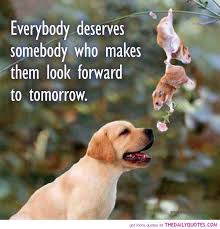 Everybody Deserves The Daily Quotes Animal Love Quotes Cute Animal Quotes Animal Quotes