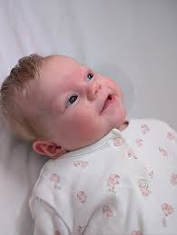 Talk to me about cricut