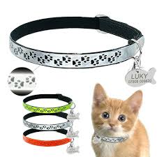 Wearing a kittyrama cat collar requires cattitude. Fluorescent Reflective Elastic Personalised Cat Collar Id Name Tags Free Bell Ebay