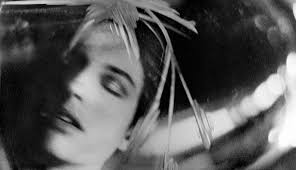 News — Field Notes — Jane Alden Stevens