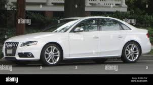 Image result for Arctic White 2006 A4