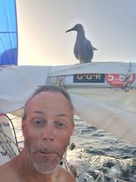 Profil von Little Bea