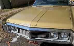 Image result for Cameo Cream (Bamboo) 1969 Buick