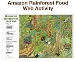 What type of ecosystem is the Amazon rainforest? - Quora