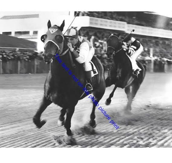 Seabiscuit Vs War Admiral 1938 Race Photo Baltimore Track Horse Race Racing  Epic Racetrack Battle Picture Poster Vintage Horses 90C - Etsy