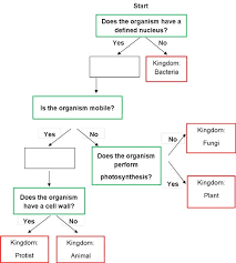 solved table 4 key characteristics of some organisms org