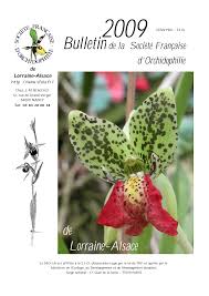 Image result for Habenaria uncicalcar