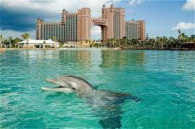 Atlantis Hotel Nassau Bahamas Visited Once On A Cruise Would Love To Vacation Here Some Tim Bahamas Hotels Bahamas Vacation All Inclusive Atlantis Bahamas