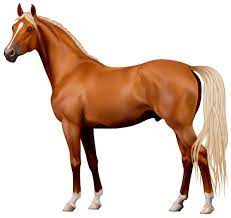 Brown Horse Png Clipart The Best Png Clipart Horses Brown Horse Free Horses
