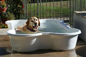 Dog Pool Dog Pool Bone Shaped Dog Pool Dog Swimming Pools