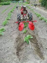 Pin By Landon Knowles On Agricultura Garden Tools Organic Gardening Lawn And Garden