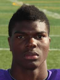 Football: DuPage County all-area team