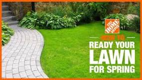 Image result for what the first lawn treatment for spring