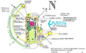 Site Analysis Examples Site Analysis Sheet Site Analysis Site Analysis Architecture