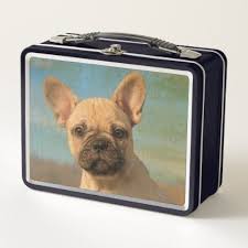 Cute French Bulldog Puppy Funny Dog Head Photo Metal Lunch Box Zazzle Com In 2020 Cute French Bulldog Bulldog Puppies Funny Bulldog Puppies