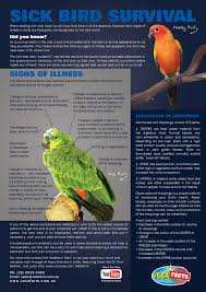 Birds Of A Feather 2019 Characters A Helpful Guide Outlining The Importance Of Observation For The Survival Of A Sick Bird Contact Juguetes Para Loro Recetas De Galletas Para Perros Periquitos