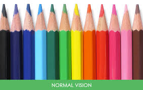 Youll Be Amazed How People With Color Blindness See The