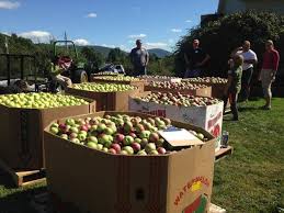 Food waste in Vermont larger than expected