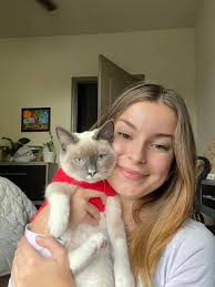Kitten growing into a cat wearing Christmas shirt
