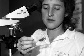 MSHS Alumni Connections Mag Winter 13