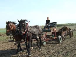 Pin Auf Carts How To Build