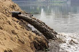 Nitrate and nitrite in vegetables & arsenic in fish and seafood. Water Pollution Remains An Acute Problem Clean Malaysia