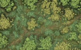 Artstation Ttrpg Battle Maps Leonardo Cino