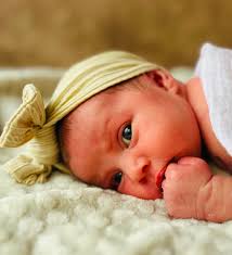 I have zero experience . I have a canon and