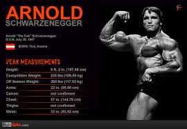 Ronnie Coleman Vs Arnold Schwarzenegger Measurements