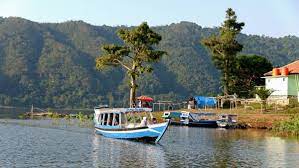 D turovaning ma'lumoticha na'matak preparatlari inson organizmida xavfli bo'lgan yurak toj. Waduk Cirata Purwakarta Potensi Harga Tiket Dan Lokasi Wisata