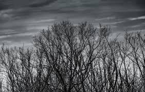 Find over 100+ of the best free black sad images. 64 296 Background Black Sad Photos Free Royalty Free Stock Photos From Dreamstime