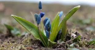 До конца года остается 264 дня. Kakoj Segodnya Prazdnik 11 Aprelya Primety Tradicii I Den Angela Ukraina Tch Ua