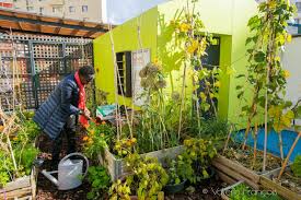 Steven neil, et de la directrice de l'établissement, mme manon marchand. Jardinage En Ville Valery Tsimba Eduque A La Terre Et Au Gout