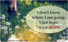 I Don T Know I Dont Know Where I Am Going I Just Hope Im Not Alone Unknown Unknown Hope Quotes Hope Book Cover