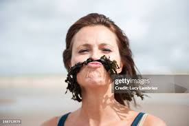 1,683 Lucy Beach Stock Photos, High-Res Pictures, and Images