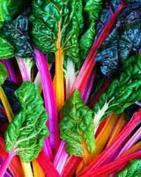 Rainbow Chard Rainbow Chard Rainbow Swiss Chard Chard