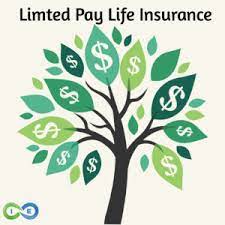 Compare plans for free online. Limited Pay Whole Life Insurance Best Policies With Sample Rates