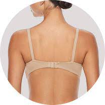 Take the quiz and find out! Bra Size Quiz Find The Perfect Fit For You Kohl S Kohl S