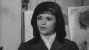 Watch Petticoat Junction S01:E05 The Courtship of Floyd Smoot