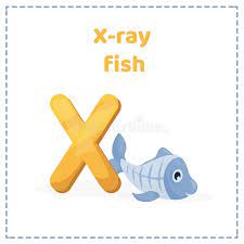 Ask, 2,324.98 x 800 ; Alphabet Printable Flashcards Vector With Letter X Stock Illustration Illustration Of Exotic Comic 172483868