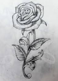 Rose And Stem Rose Drawing Tattoo Roses Drawing Rose Drawing