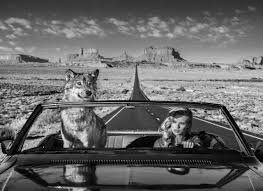 Black And White Road Trip Aesthetic Road Trip 2018 David Yarrow Pigment Print David Yarrow Road Trip Movie Black And White Photographs