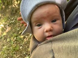 Malaghan Institute of Medical Research