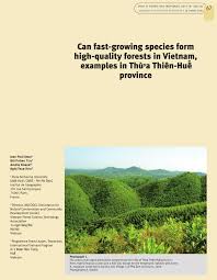 Vietnam in hd épisode 2 (titre original). Pdf Can Fast Growing Species Form High Quality Forests In Vietnam Examples In Thá»«a Thien Huáº¿ Province
