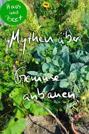 Mythen Uber Gemuse Anbauen Sie Stimmen Nicht Gemuse Anbauen Gartenarbeit Selbstversorger Garten