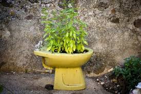 Bidet Garden Recyclart Recycled Garden Bidet Outdoor Diy Projects
